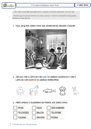 Ciências da Natureza – Seres Vivos 1º EFAI